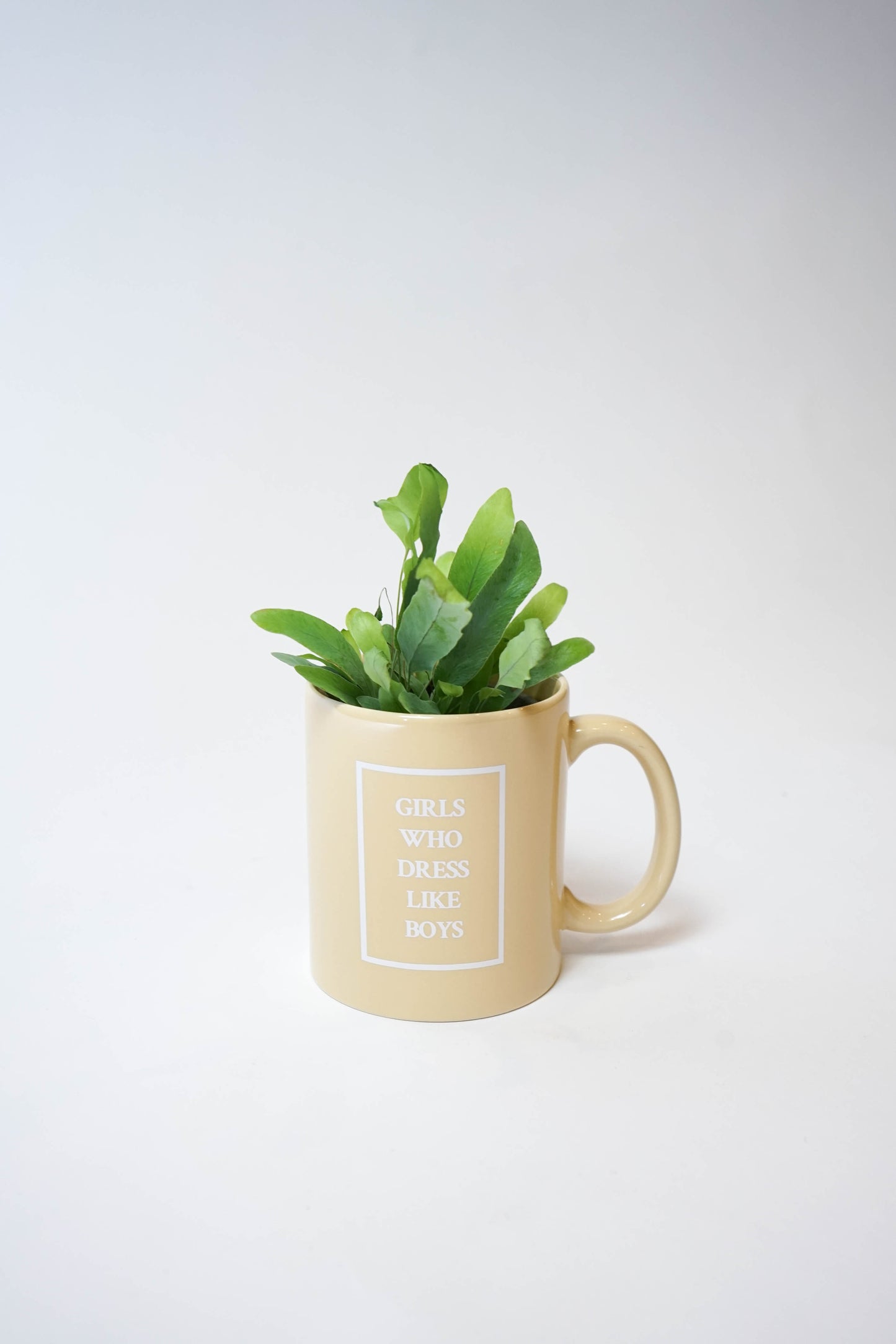 Girls Who Dress Like Boys Classic Mug